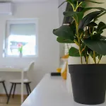 Apartman Kimi